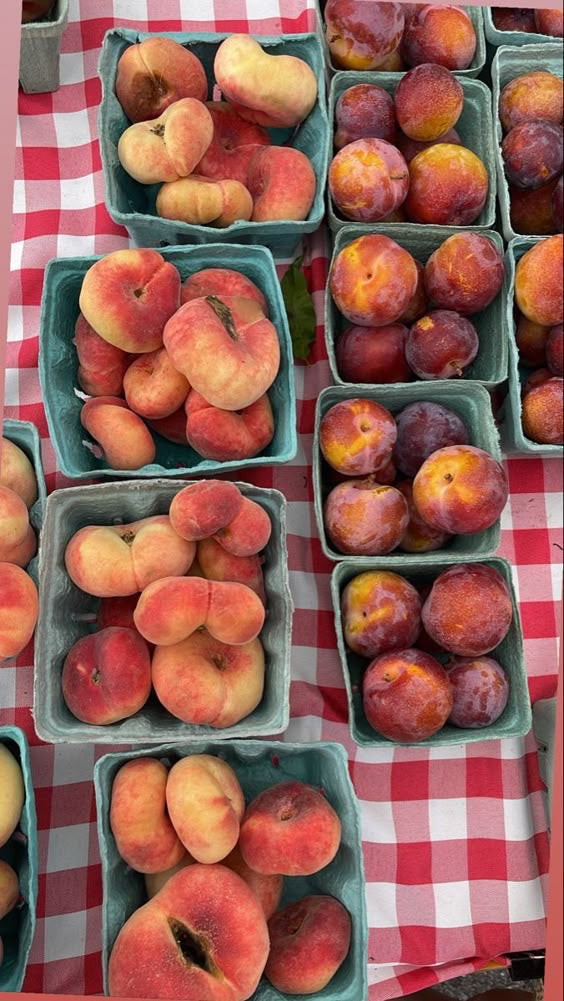 Your September Farmers Market Guide + Our Live Oak Pop-Up