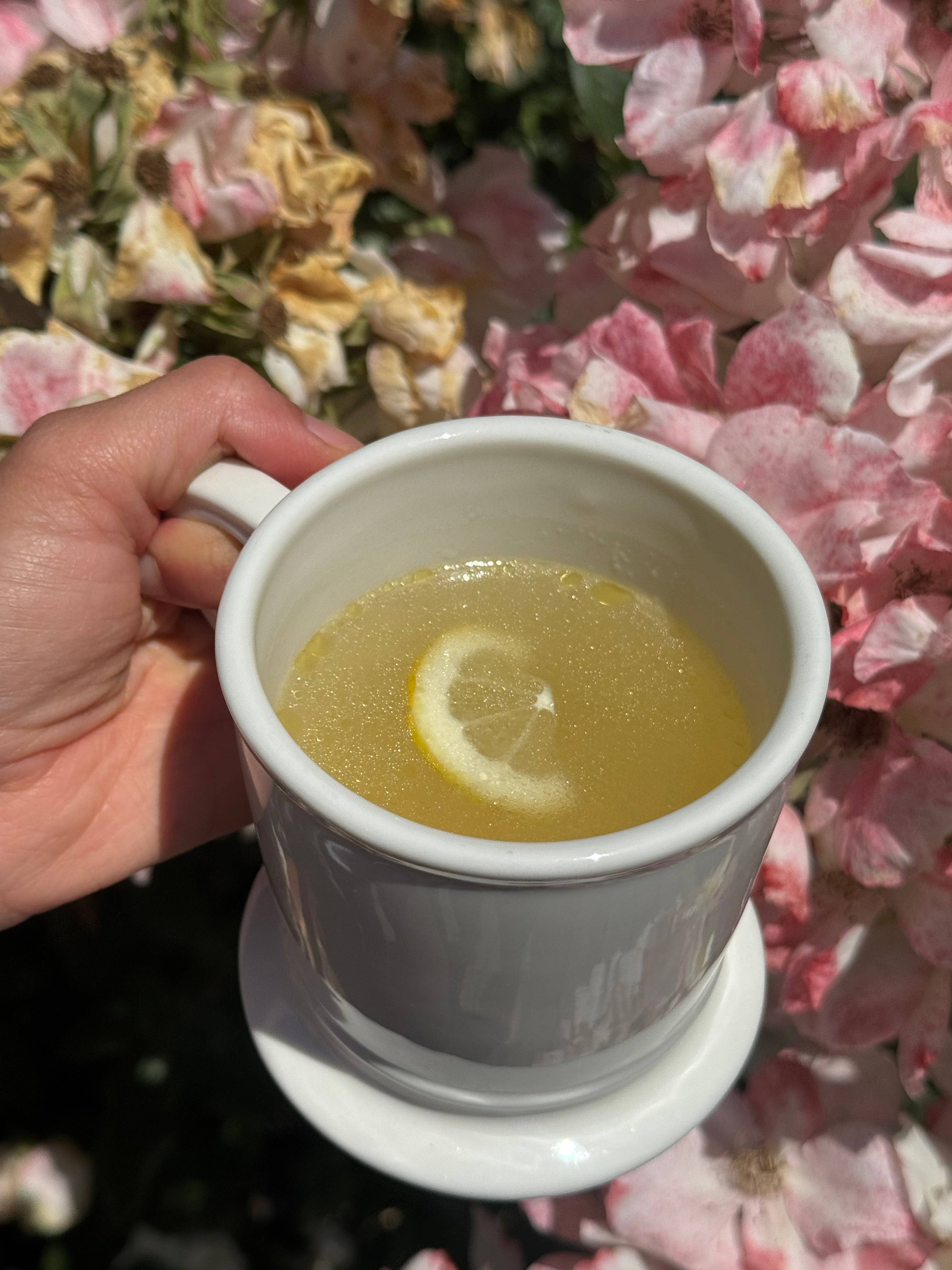 Protecting Your Microbiome: How Gelatin Strengthens Your Gut’s Defense